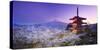 Japan, Yamanashi Prefecture, Fuji-Yoshida, Chureito Pagoda, Mt Fuji and Cherry Blossoms-Michele Falzone-Stretched Canvas