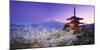 Japan, Yamanashi Prefecture, Fuji-Yoshida, Chureito Pagoda, Mt Fuji and Cherry Blossoms-Michele Falzone-Mounted Premium Photographic Print