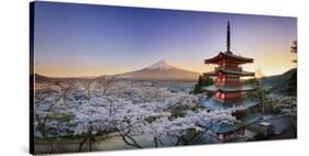 Japan, Yamanashi Prefecture, Fuji-Yoshida, Chureito Pagoda, Mt Fuji and Cherry Blossoms-Michele Falzone-Stretched Canvas