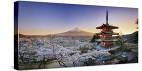 Japan, Yamanashi Prefecture, Fuji-Yoshida, Chureito Pagoda, Mt Fuji and Cherry Blossoms-Michele Falzone-Stretched Canvas