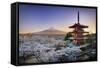 Japan, Yamanashi Prefecture, Fuji-Yoshida, Chureito Pagoda, Mt Fuji and Cherry Blossoms-Michele Falzone-Framed Stretched Canvas