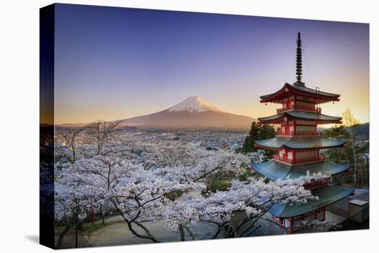 Japan, Yamanashi Prefecture, Fuji-Yoshida, Chureito Pagoda, Mt Fuji and Cherry Blossoms-Michele Falzone-Stretched Canvas