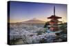 Japan, Yamanashi Prefecture, Fuji-Yoshida, Chureito Pagoda, Mt Fuji and Cherry Blossoms-Michele Falzone-Stretched Canvas