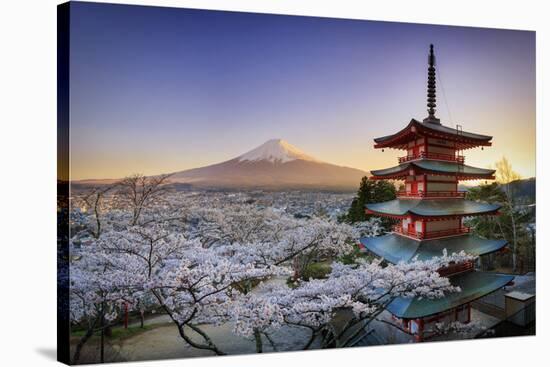 Japan, Yamanashi Prefecture, Fuji-Yoshida, Chureito Pagoda, Mt Fuji and Cherry Blossoms-Michele Falzone-Stretched Canvas