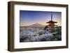 Japan, Yamanashi Prefecture, Fuji-Yoshida, Chureito Pagoda, Mt Fuji and Cherry Blossoms-Michele Falzone-Framed Premium Photographic Print