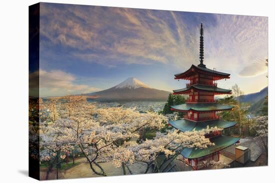 Japan, Yamanashi Prefecture, Fuji-Yoshida, Chureito Pagoda, Mt Fuji and Cherry Blossoms-Michele Falzone-Stretched Canvas