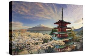 Japan, Yamanashi Prefecture, Fuji-Yoshida, Chureito Pagoda, Mt Fuji and Cherry Blossoms-Michele Falzone-Stretched Canvas