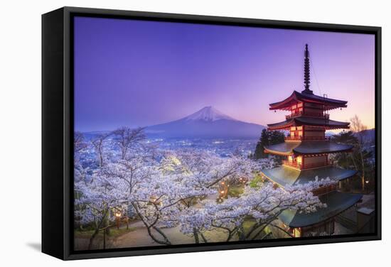 Japan, Yamanashi Prefecture, Fuji-Yoshida, Chureito Pagoda, Mt Fuji and Cherry Blossoms-Michele Falzone-Framed Stretched Canvas