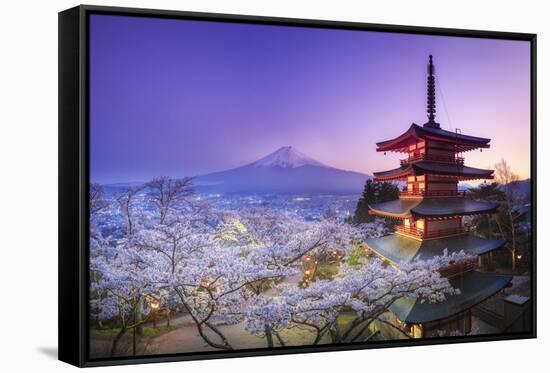 Japan, Yamanashi Prefecture, Fuji-Yoshida, Chureito Pagoda, Mt Fuji and Cherry Blossoms-Michele Falzone-Framed Stretched Canvas