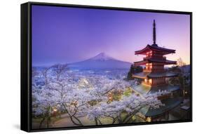 Japan, Yamanashi Prefecture, Fuji-Yoshida, Chureito Pagoda, Mt Fuji and Cherry Blossoms-Michele Falzone-Framed Stretched Canvas