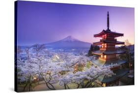 Japan, Yamanashi Prefecture, Fuji-Yoshida, Chureito Pagoda, Mt Fuji and Cherry Blossoms-Michele Falzone-Stretched Canvas