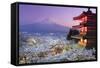 Japan, Yamanashi Prefecture, Fuji-Yoshida, Chureito Pagoda, Mt Fuji and Cherry Blossoms-Michele Falzone-Framed Stretched Canvas