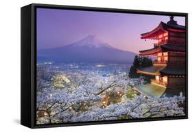 Japan, Yamanashi Prefecture, Fuji-Yoshida, Chureito Pagoda, Mt Fuji and Cherry Blossoms-Michele Falzone-Framed Stretched Canvas