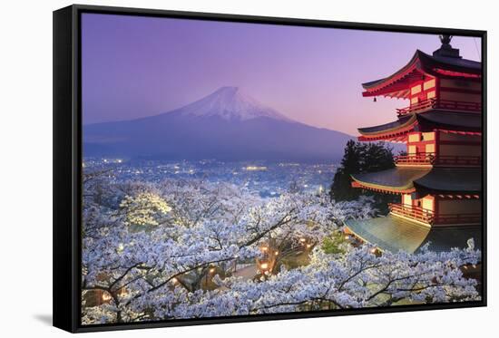 Japan, Yamanashi Prefecture, Fuji-Yoshida, Chureito Pagoda, Mt Fuji and Cherry Blossoms-Michele Falzone-Framed Stretched Canvas