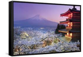 Japan, Yamanashi Prefecture, Fuji-Yoshida, Chureito Pagoda, Mt Fuji and Cherry Blossoms-Michele Falzone-Framed Stretched Canvas