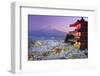 Japan, Yamanashi Prefecture, Fuji-Yoshida, Chureito Pagoda, Mt Fuji and Cherry Blossoms-Michele Falzone-Framed Premium Photographic Print