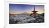 Japan, Yamanashi Prefecture, Fuji-Yoshida, Chureito Pagoda, Mt Fuji and Cherry Blossoms-Michele Falzone-Framed Photographic Print