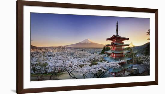 Japan, Yamanashi Prefecture, Fuji-Yoshida, Chureito Pagoda, Mt Fuji and Cherry Blossoms-Michele Falzone-Framed Photographic Print