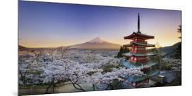 Japan, Yamanashi Prefecture, Fuji-Yoshida, Chureito Pagoda, Mt Fuji and Cherry Blossoms-Michele Falzone-Mounted Photographic Print