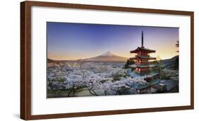 Japan, Yamanashi Prefecture, Fuji-Yoshida, Chureito Pagoda, Mt Fuji and Cherry Blossoms-Michele Falzone-Framed Photographic Print