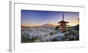 Japan, Yamanashi Prefecture, Fuji-Yoshida, Chureito Pagoda, Mt Fuji and Cherry Blossoms-Michele Falzone-Framed Photographic Print