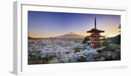 Japan, Yamanashi Prefecture, Fuji-Yoshida, Chureito Pagoda, Mt Fuji and Cherry Blossoms-Michele Falzone-Framed Photographic Print