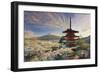 Japan, Yamanashi Prefecture, Fuji-Yoshida, Chureito Pagoda, Mt Fuji and Cherry Blossoms-Michele Falzone-Framed Photographic Print