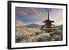 Japan, Yamanashi Prefecture, Fuji-Yoshida, Chureito Pagoda, Mt Fuji and Cherry Blossoms-Michele Falzone-Framed Photographic Print