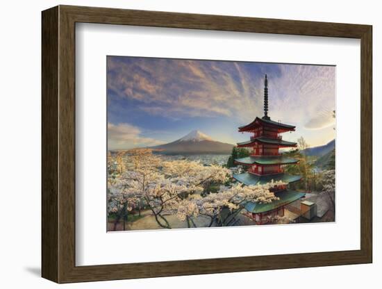 Japan, Yamanashi Prefecture, Fuji-Yoshida, Chureito Pagoda, Mt Fuji and Cherry Blossoms-Michele Falzone-Framed Photographic Print