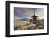 Japan, Yamanashi Prefecture, Fuji-Yoshida, Chureito Pagoda, Mt Fuji and Cherry Blossoms-Michele Falzone-Framed Photographic Print