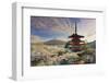 Japan, Yamanashi Prefecture, Fuji-Yoshida, Chureito Pagoda, Mt Fuji and Cherry Blossoms-Michele Falzone-Framed Photographic Print