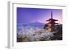 Japan, Yamanashi Prefecture, Fuji-Yoshida, Chureito Pagoda, Mt Fuji and Cherry Blossoms-Michele Falzone-Framed Photographic Print