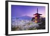 Japan, Yamanashi Prefecture, Fuji-Yoshida, Chureito Pagoda, Mt Fuji and Cherry Blossoms-Michele Falzone-Framed Photographic Print