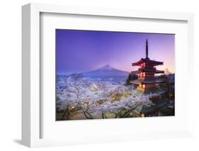 Japan, Yamanashi Prefecture, Fuji-Yoshida, Chureito Pagoda, Mt Fuji and Cherry Blossoms-Michele Falzone-Framed Photographic Print