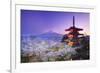 Japan, Yamanashi Prefecture, Fuji-Yoshida, Chureito Pagoda, Mt Fuji and Cherry Blossoms-Michele Falzone-Framed Photographic Print