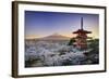 Japan, Yamanashi Prefecture, Fuji-Yoshida, Chureito Pagoda, Mt Fuji and Cherry Blossoms-Michele Falzone-Framed Photographic Print