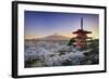 Japan, Yamanashi Prefecture, Fuji-Yoshida, Chureito Pagoda, Mt Fuji and Cherry Blossoms-Michele Falzone-Framed Photographic Print