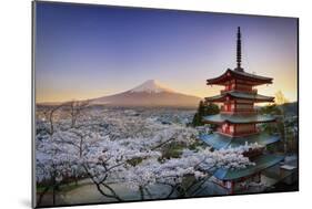 Japan, Yamanashi Prefecture, Fuji-Yoshida, Chureito Pagoda, Mt Fuji and Cherry Blossoms-Michele Falzone-Mounted Photographic Print