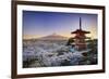 Japan, Yamanashi Prefecture, Fuji-Yoshida, Chureito Pagoda, Mt Fuji and Cherry Blossoms-Michele Falzone-Framed Photographic Print