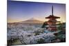 Japan, Yamanashi Prefecture, Fuji-Yoshida, Chureito Pagoda, Mt Fuji and Cherry Blossoms-Michele Falzone-Mounted Photographic Print