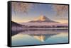 Japan, Yamanashi Prefecture, Kawaguchi Ko Lake and Mt Fuji-Michele Falzone-Framed Stretched Canvas
