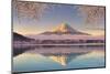 Japan, Yamanashi Prefecture, Kawaguchi Ko Lake and Mt Fuji-Michele Falzone-Mounted Premium Photographic Print