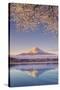 Japan, Yamanashi Prefecture, Kawaguchi Ko Lake and Mt Fuji-Michele Falzone-Stretched Canvas