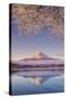 Japan, Yamanashi Prefecture, Kawaguchi Ko Lake and Mt Fuji-Michele Falzone-Stretched Canvas