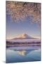 Japan, Yamanashi Prefecture, Kawaguchi Ko Lake and Mt Fuji-Michele Falzone-Mounted Photographic Print