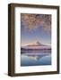 Japan, Yamanashi Prefecture, Kawaguchi Ko Lake and Mt Fuji-Michele Falzone-Framed Photographic Print