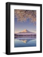 Japan, Yamanashi Prefecture, Kawaguchi Ko Lake and Mt Fuji-Michele Falzone-Framed Photographic Print