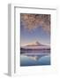 Japan, Yamanashi Prefecture, Kawaguchi Ko Lake and Mt Fuji-Michele Falzone-Framed Photographic Print