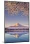 Japan, Yamanashi Prefecture, Kawaguchi Ko Lake and Mt Fuji-Michele Falzone-Mounted Photographic Print