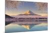 Japan, Yamanashi Prefecture, Kawaguchi Ko Lake and Mt Fuji-Michele Falzone-Mounted Photographic Print